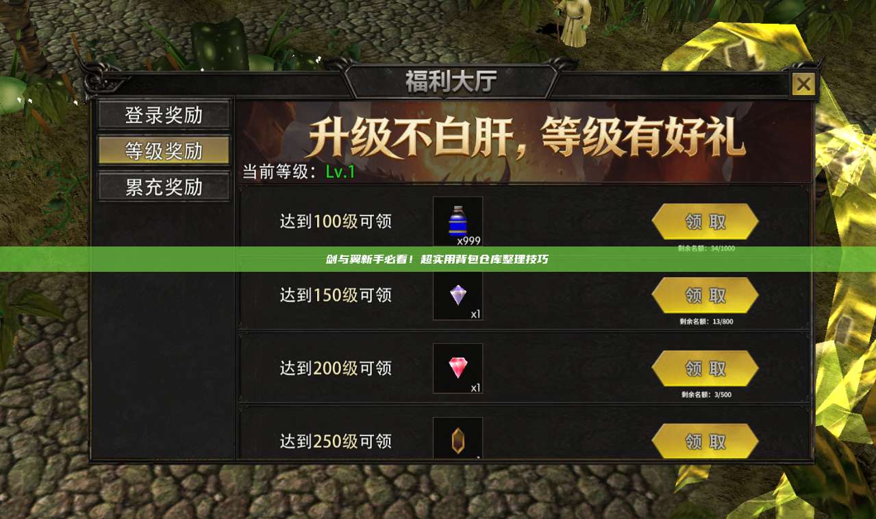 剑与翼新手必看！超实用背包仓库整理技巧